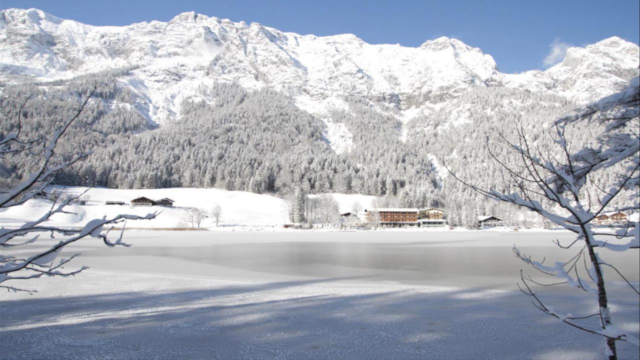 拉姆绍 Alpen Experience Jugendgastehaus酒店 外观 照片